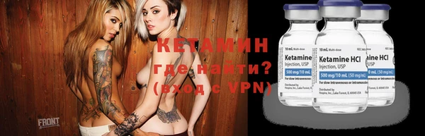 стаф Аркадак