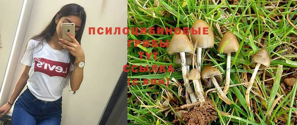 spice Балабаново