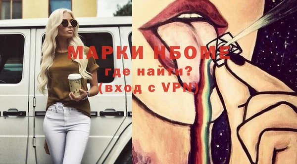 стаф Аркадак