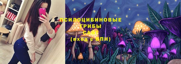 гашик Армянск