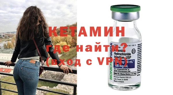 стаф Аркадак