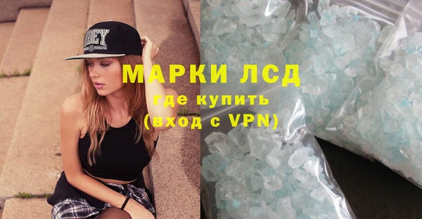стаф Аркадак