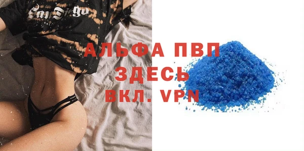 стаф Аркадак