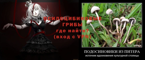 гашик Армянск