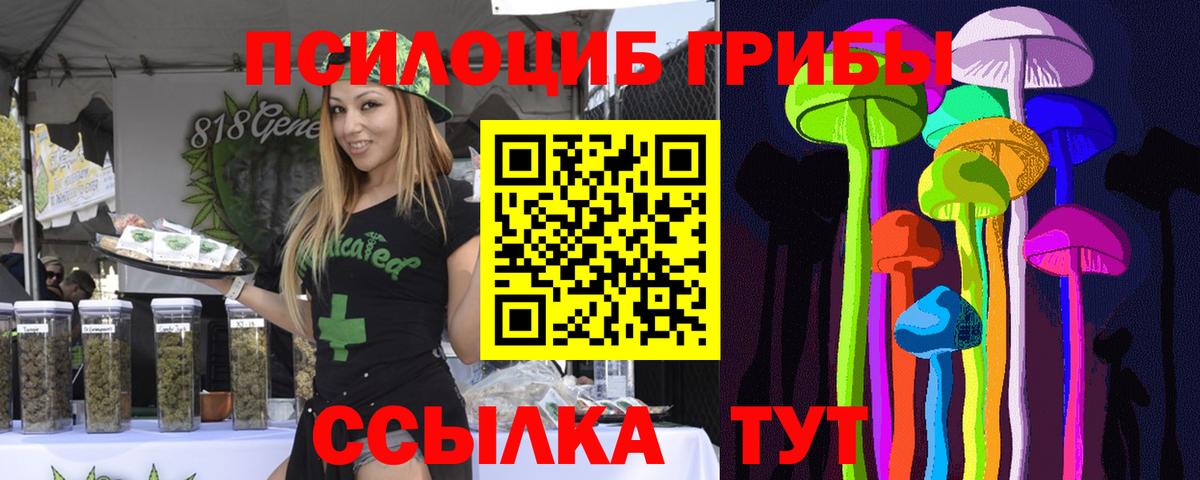 Псилоцибиновые грибы GOLDEN TEACHER  Вход с VPN  Кубинка 